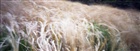 dailyPhoto26