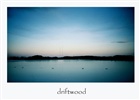 dailyPhoto40