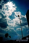 dailyPhoto38