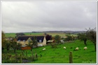 dailyPhoto6