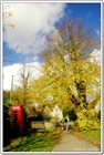 dailyPhoto24