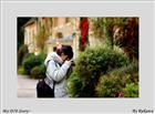 dailyPhoto7