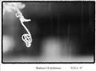 dailyPhoto4