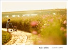 dailyPhoto37