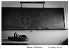 dailyPhoto7