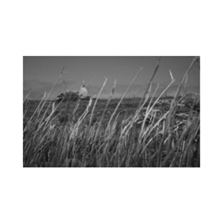 dailyPhoto30