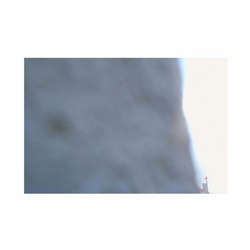 dailyPhoto37