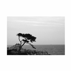 dailyPhoto5