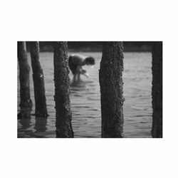 dailyPhoto32