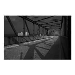 dailyPhoto19