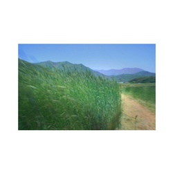dailyPhoto30