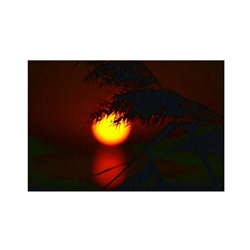 dailyPhoto10