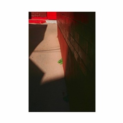 dailyPhoto18