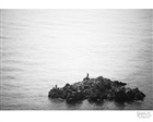 dailyPhoto5