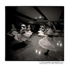 dailyPhoto20