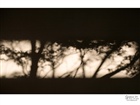 dailyPhoto39