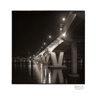 dailyPhoto11
