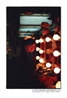 dailyPhoto37