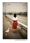 dailyPhoto27