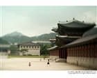 dailyPhoto8