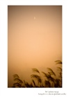 dailyPhoto39