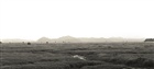 dailyPhoto28