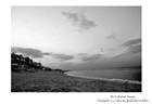 dailyPhoto35