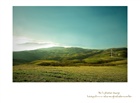 dailyPhoto40