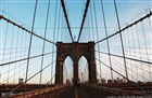 dailyPhoto36