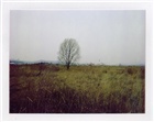dailyPhoto29