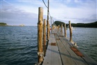 dailyPhoto24