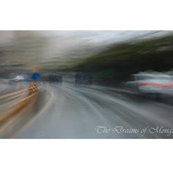 dailyPhoto9