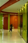 dailyPhoto39
