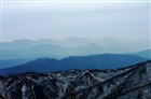 dailyPhoto36