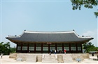 dailyPhoto6
