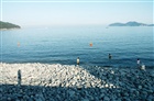 dailyPhoto6