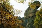 dailyPhoto23