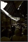 dailyPhoto3