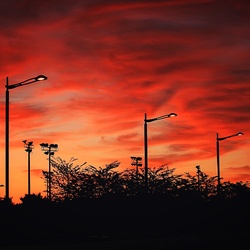 dailyPhoto13
