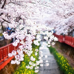 dailyPhoto9