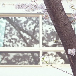 dailyPhoto38