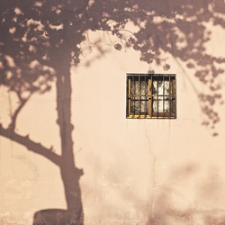 dailyPhoto31