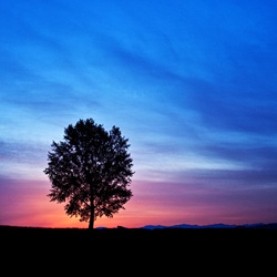 dailyPhoto24