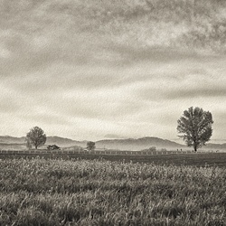 dailyPhoto30