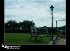 dailyPhoto23