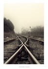 dailyPhoto30