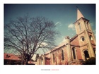 dailyPhoto19