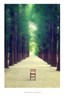 dailyPhoto37