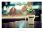 dailyPhoto13