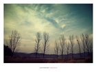 dailyPhoto6